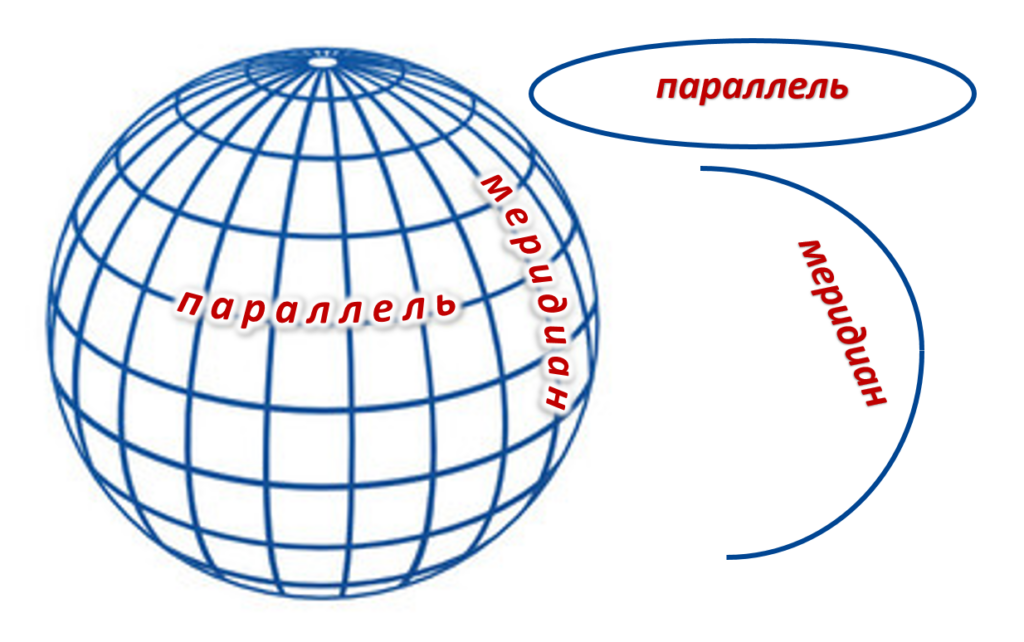На глобусе проведены параллели. Глобус меридианы параллели Экватор. Параллели на глобусе. Меридианы и параллели на глобусе. Мерилианы и парраллелили.